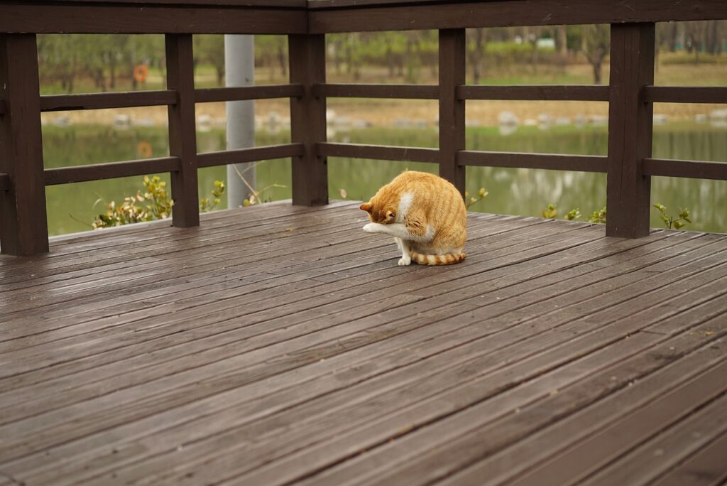 Wood deck in Hudson County.